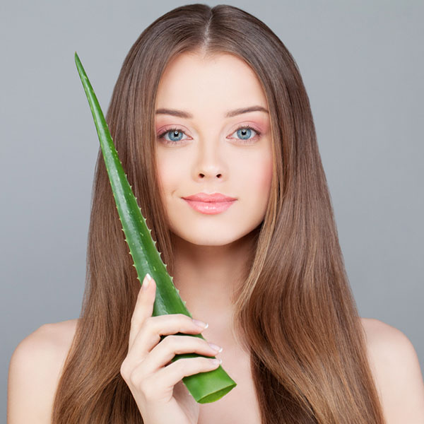 Aloe Vera e seus benefícios aos cabelos